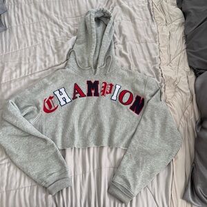 Champion Heather Gray Hoodie